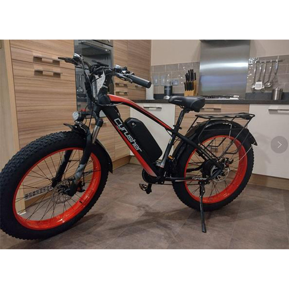 TX650 Electric Bike (HLJ)