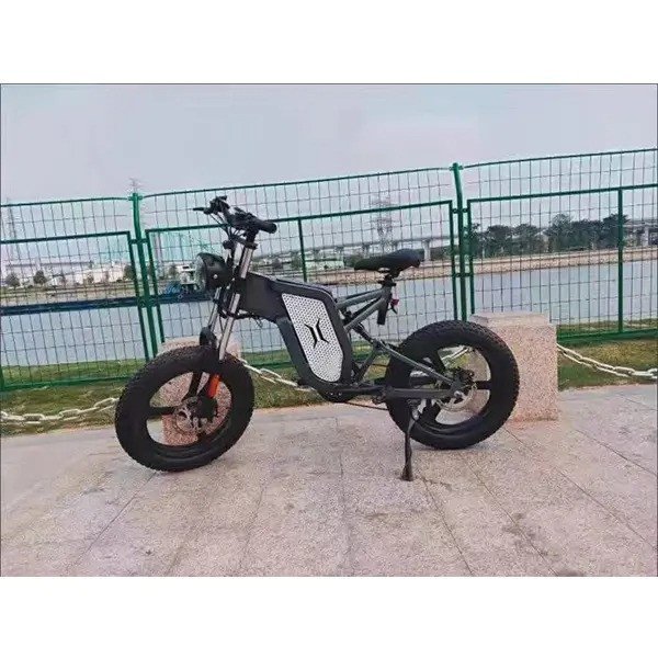 Lithium-Batterie-Geländewagen 20-Zoll-Mountainbike
